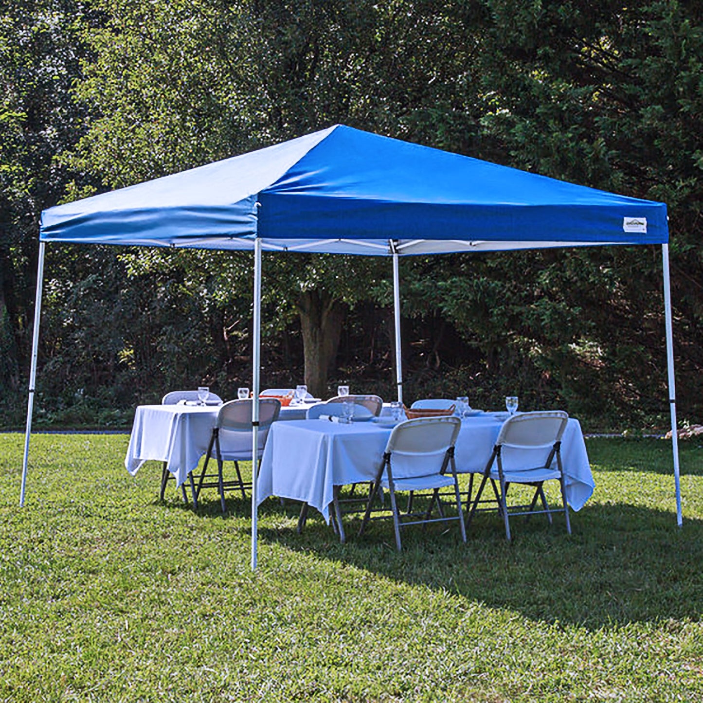 Caravan Canopy V Series 2 Pro 10' x 10' Entry Level Straight Leg Canopy, Blue