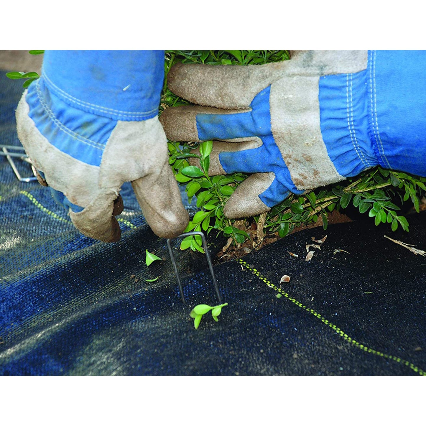 DeWitt P5 Pro 5 Commercial Landscape 5-Oz Weed Barrier Fabric, 5 x 250' (3 Pack)