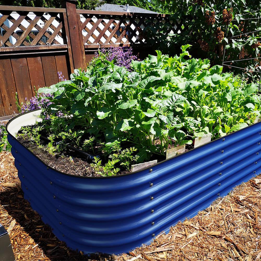 Olle Galvanized Raised Garden Bed