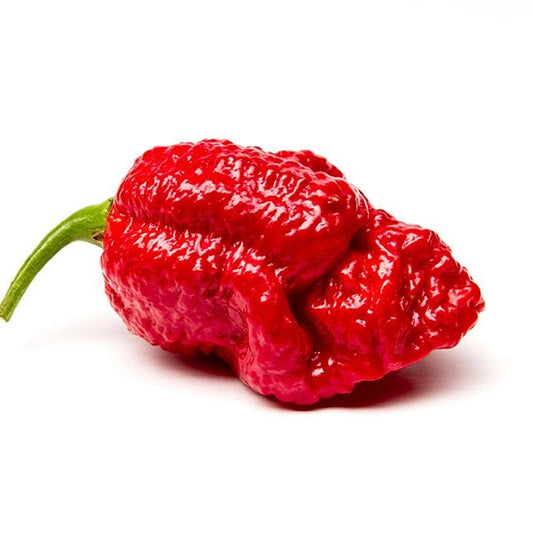 Red Scotch Brain Strain Pepper Seeds (7 Pot Strain)