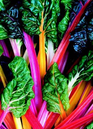 Bright Lights Swiss Chard Seeds