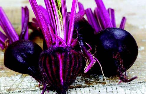 Bull's Blood Beet Seeds