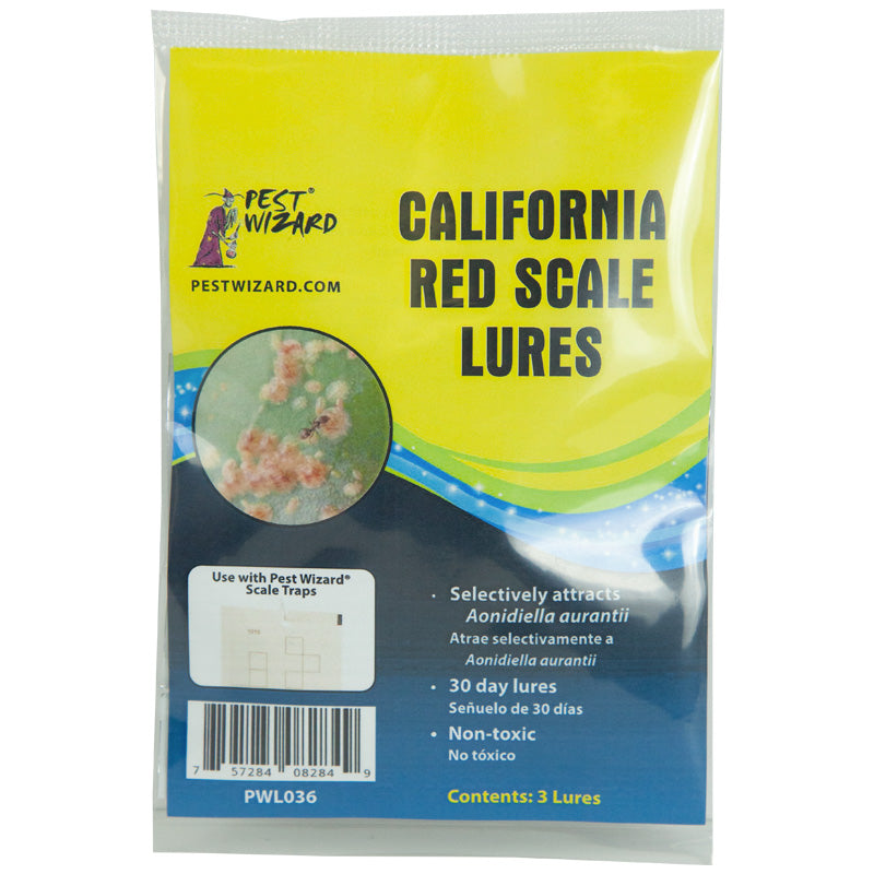 Pest Wizard California Red Scale Lure 3-Pack