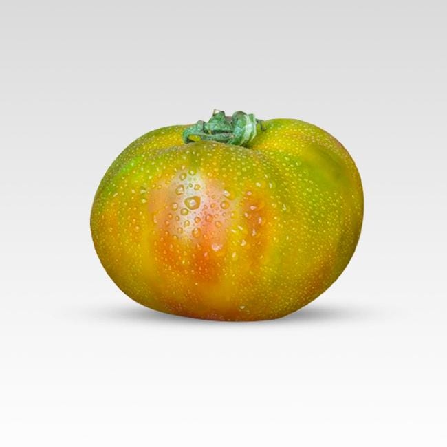 Captain Lucky Tomato Seeds