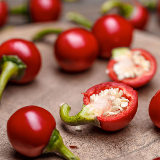 Cherry Mini Hot F1 Pepper Seeds