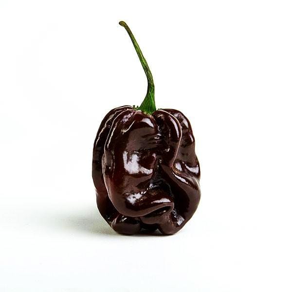 Chocolate Habanero Pepper Seeds