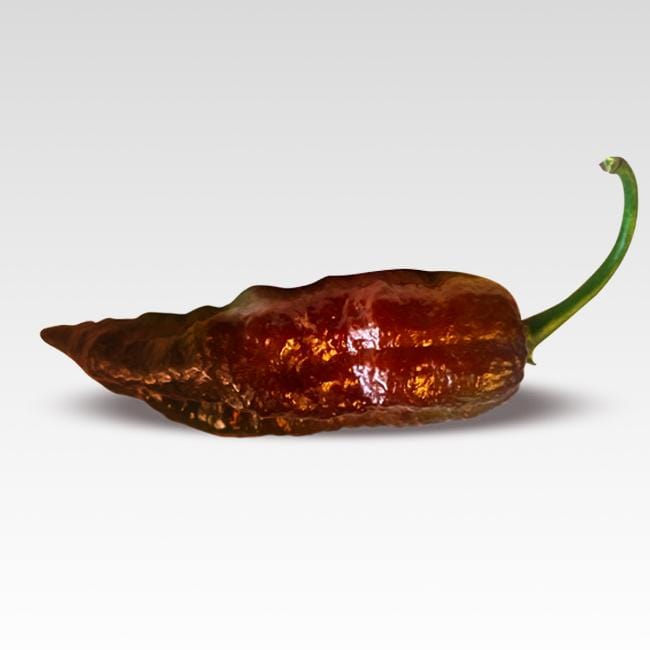 Chocolate Fatalii Pepper Seeds