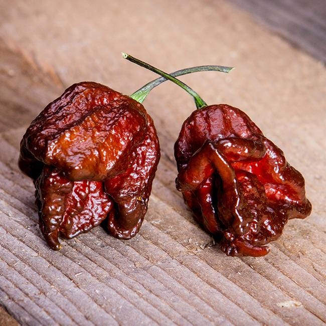 Chocolate Reaper Pepper Seeds