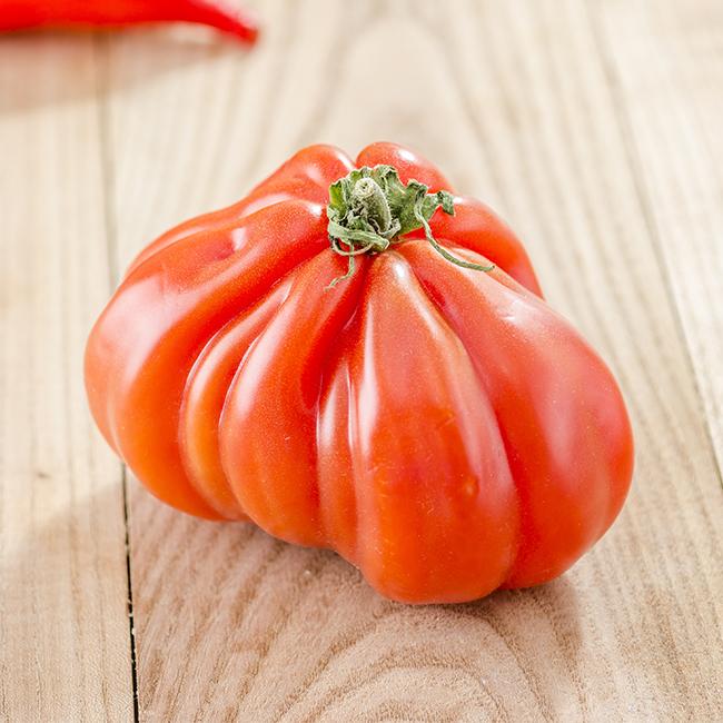 Costoluto Genovese Tomato Seeds