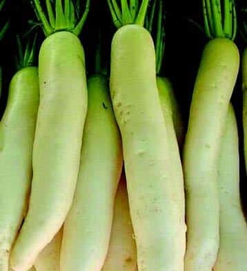 Daikon Minowase Summer Cross No. 3 Hybrid Radish Seeds