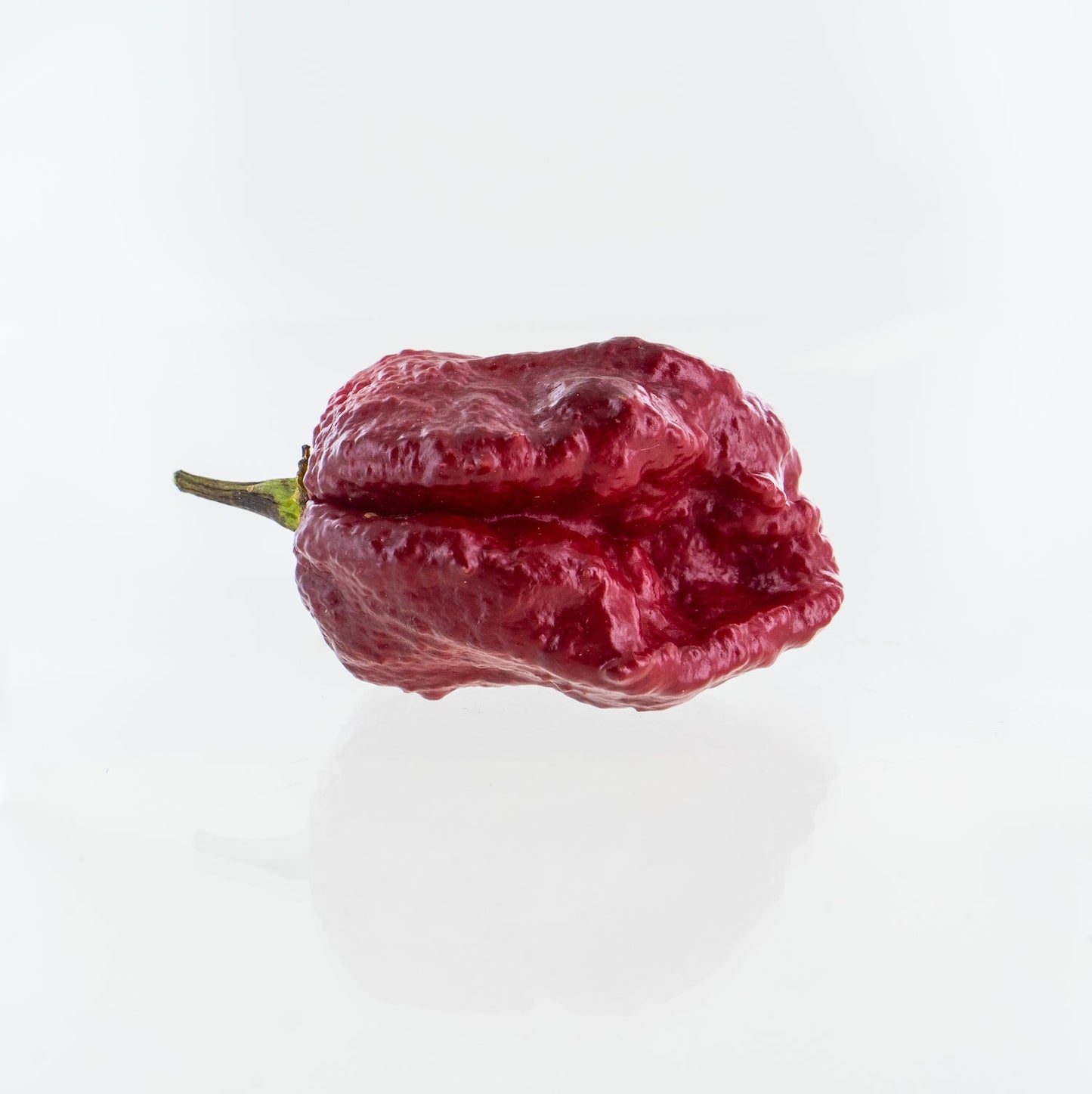 Orion Chili Pepper Seeds