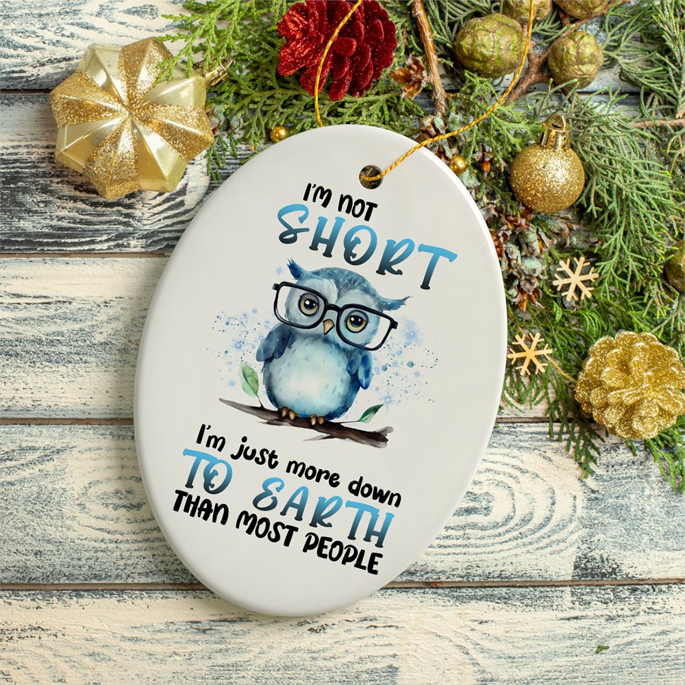 Down to Earth Owl Ceramic Ornament, Cute and Funny Christmas Gift