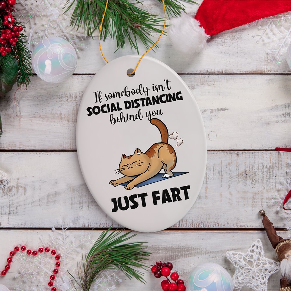 If Somebody Isn't Social Distancing Just Fart Quirky Cat, Cute and Funny Christmas Gift