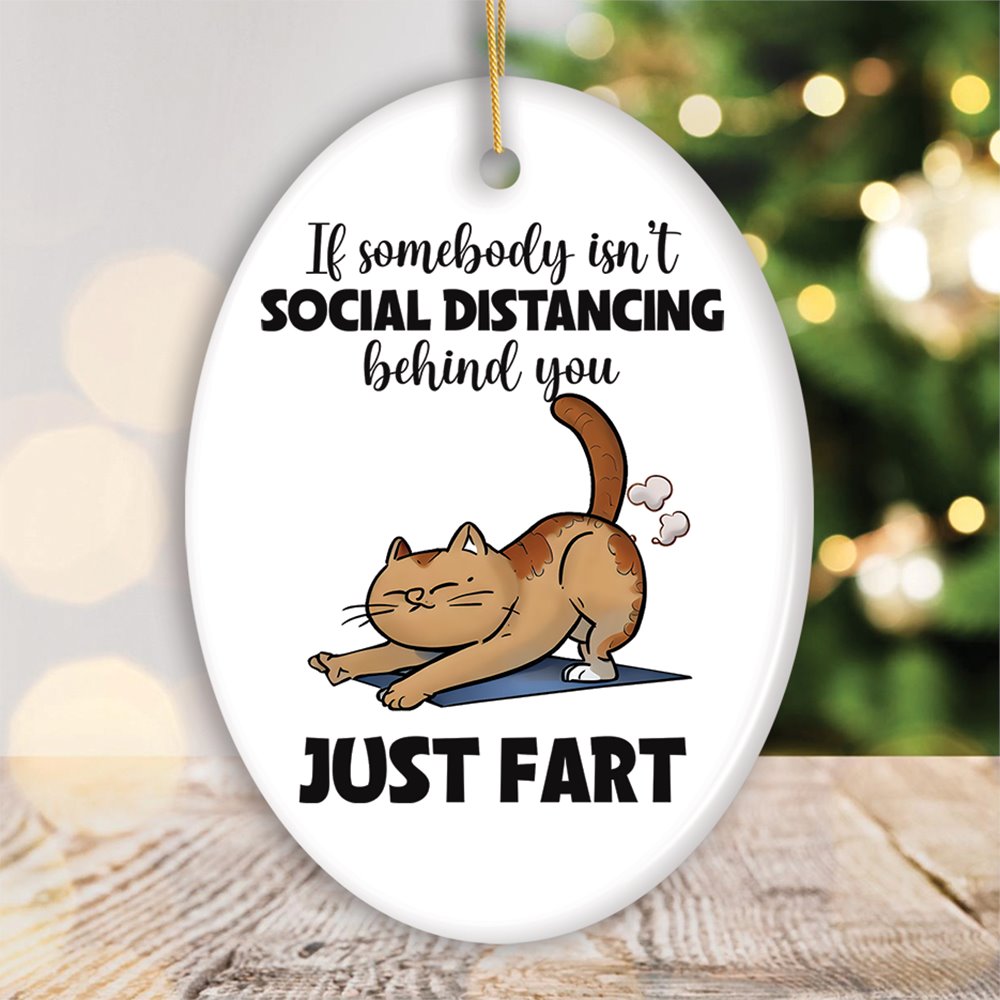 If Somebody Isn't Social Distancing Just Fart Quirky Cat, Cute and Funny Christmas Gift