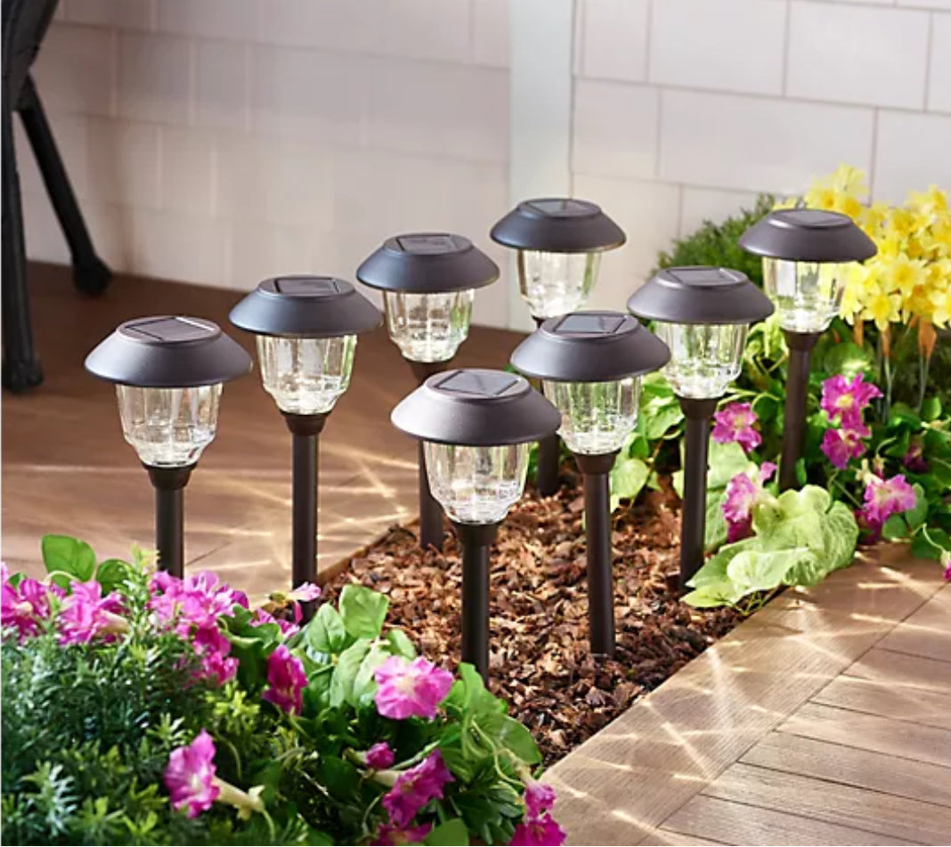 Energizer 12 Pack Solar Pathway Light Set 15-Lumen