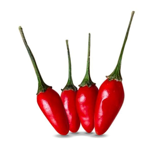 Guam Boonie Pepper Seeds (Non-Isolated)