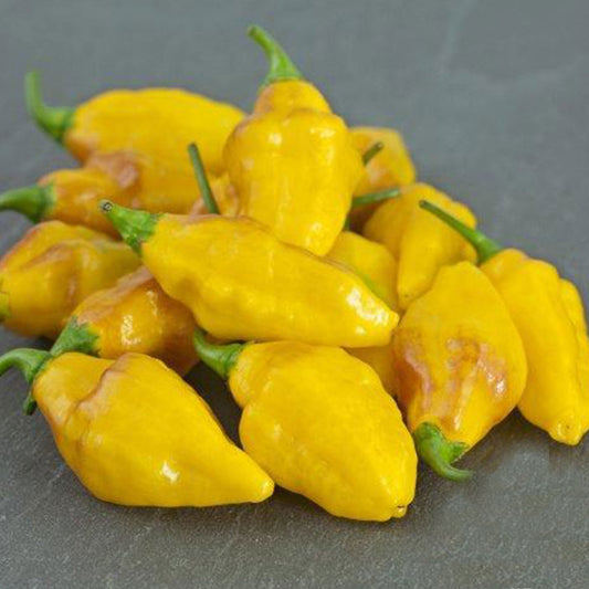 Habanero Mayan Yellow Pepper Seeds