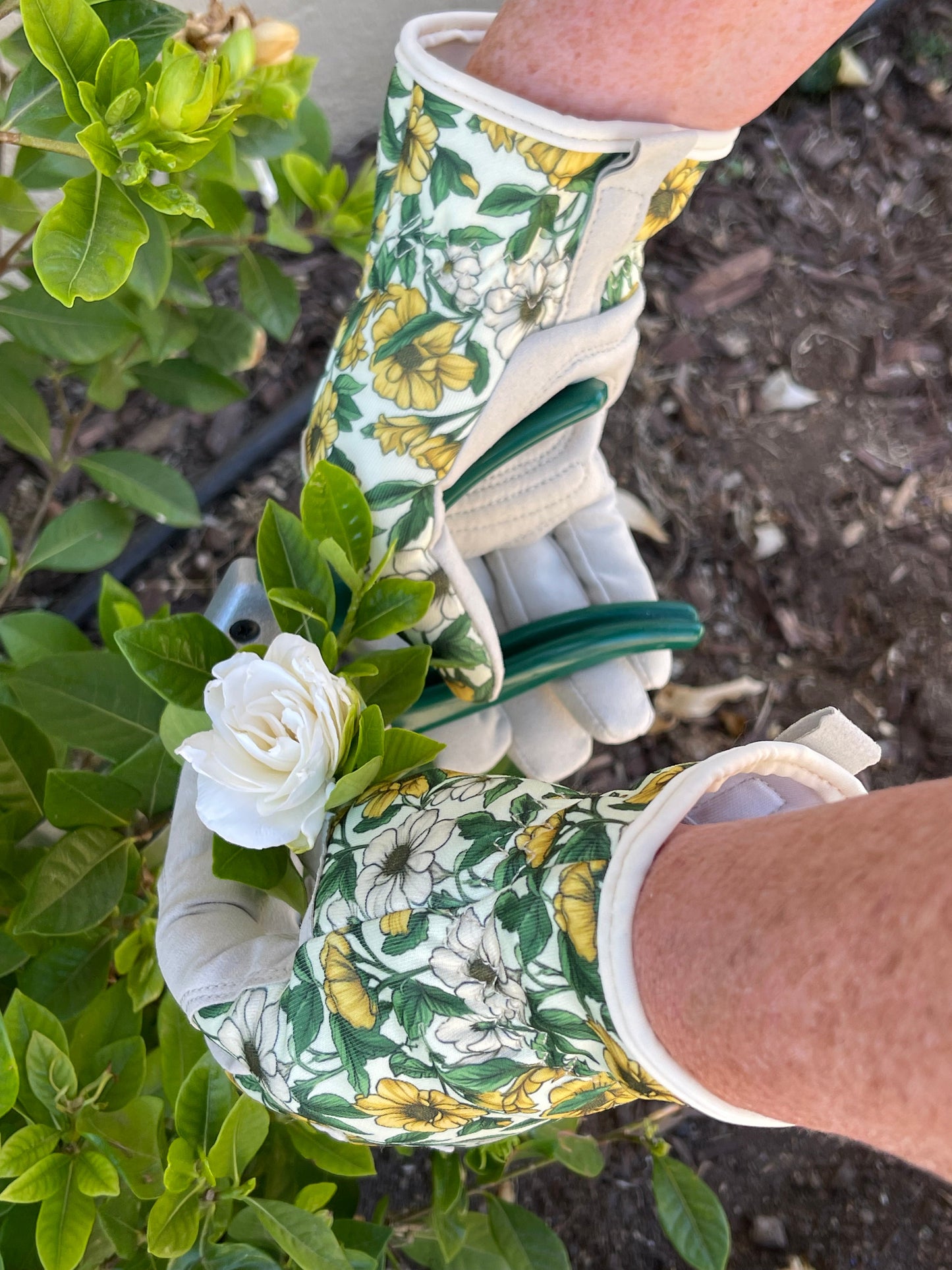 Garden Gift Box - Gloves and Snips