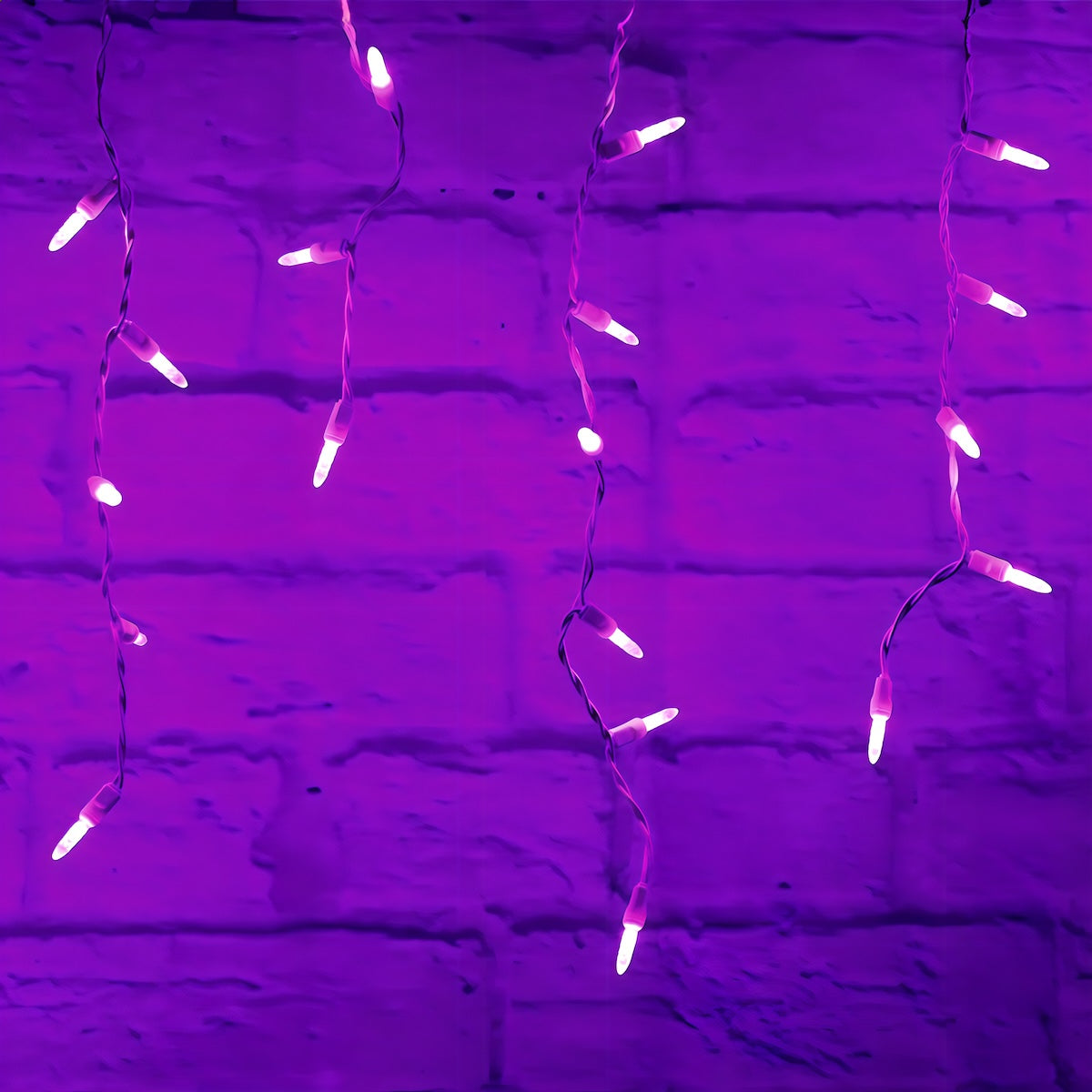 M5 Purple LED Icicle Lights, 70 Bulbs, 7.5ft Long, White Wire