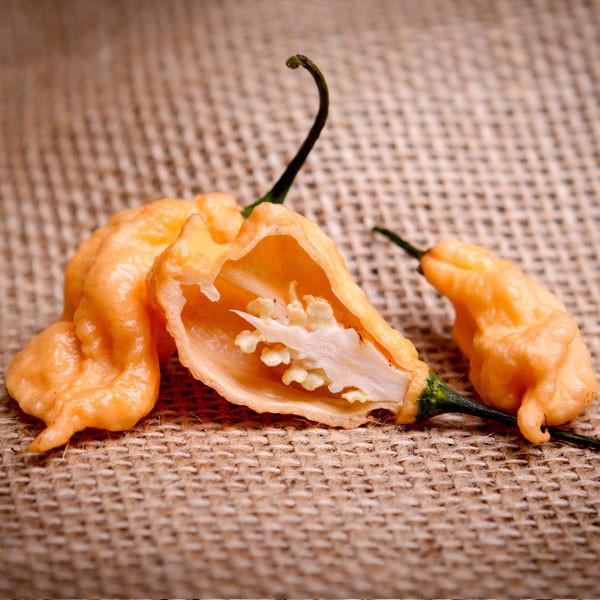 Jay's Peach Ghost Scorpion Pepper Seeds