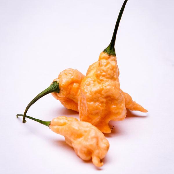 Jay's Peach Ghost Scorpion Pepper Seeds