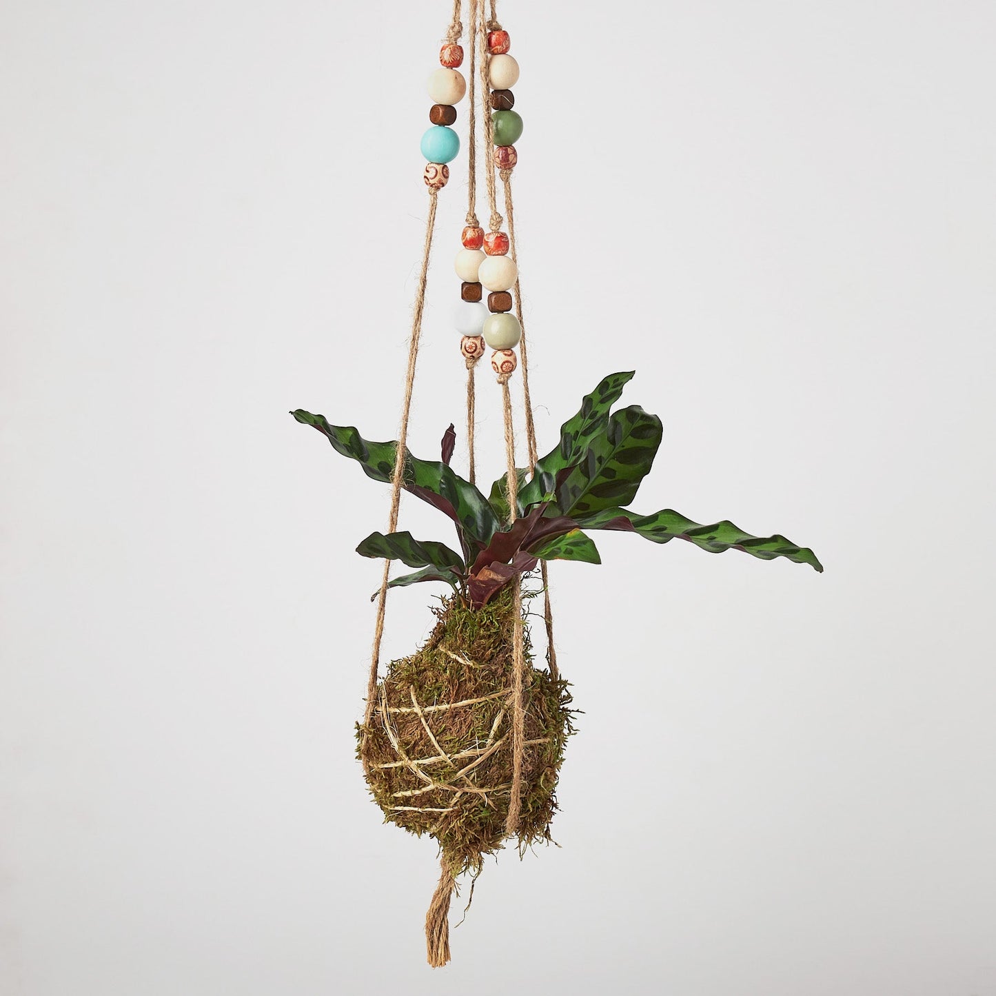 Bead Kokedama Moss Ball Hanging Plant