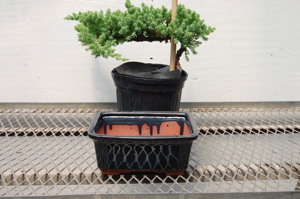 Large Dark Blue Ceramic Bonsai Pot (8.5" x 6.625" x 3.5")