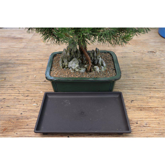 Large Humidity Drip Tray