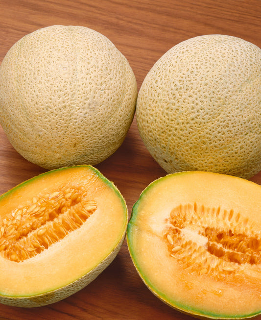 Honey Rock Melon Seeds