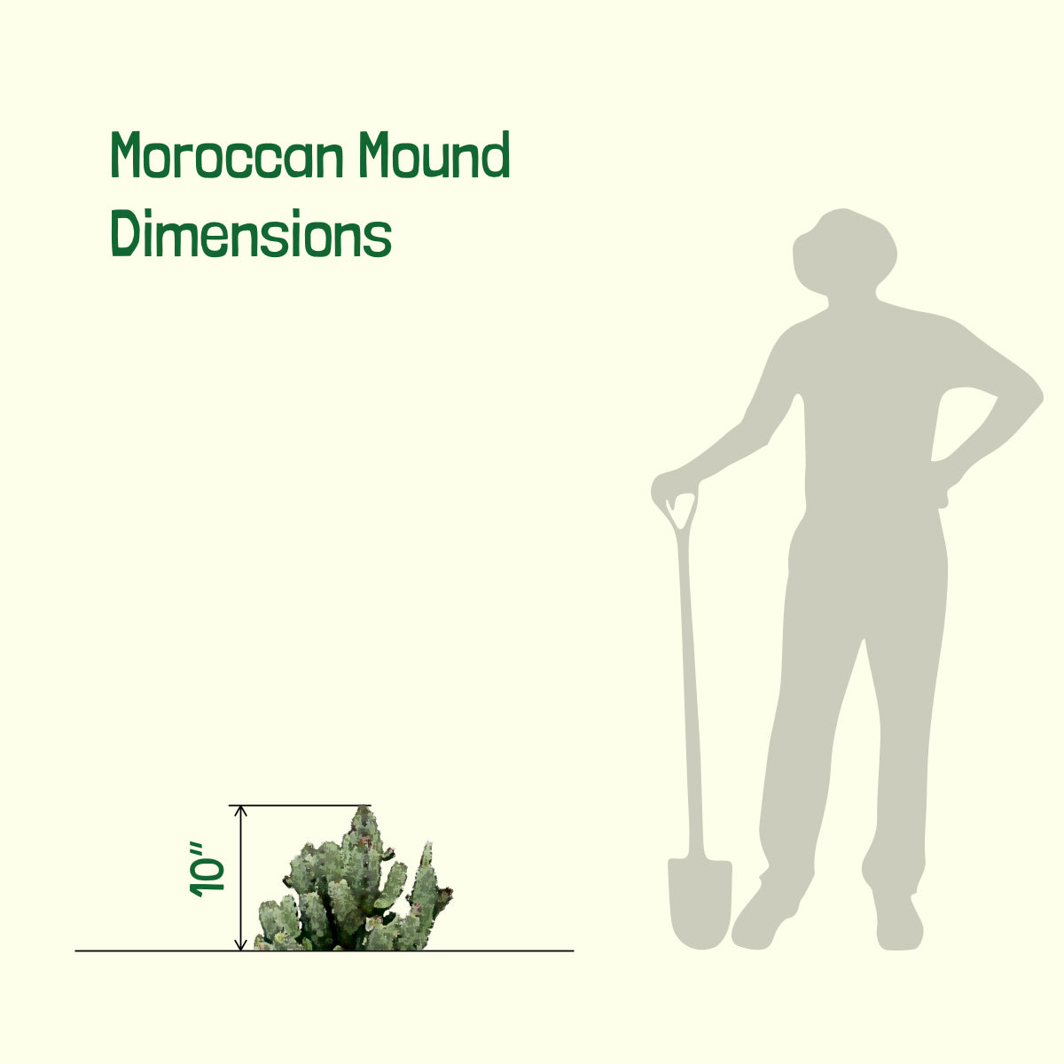 Moroccan Mound