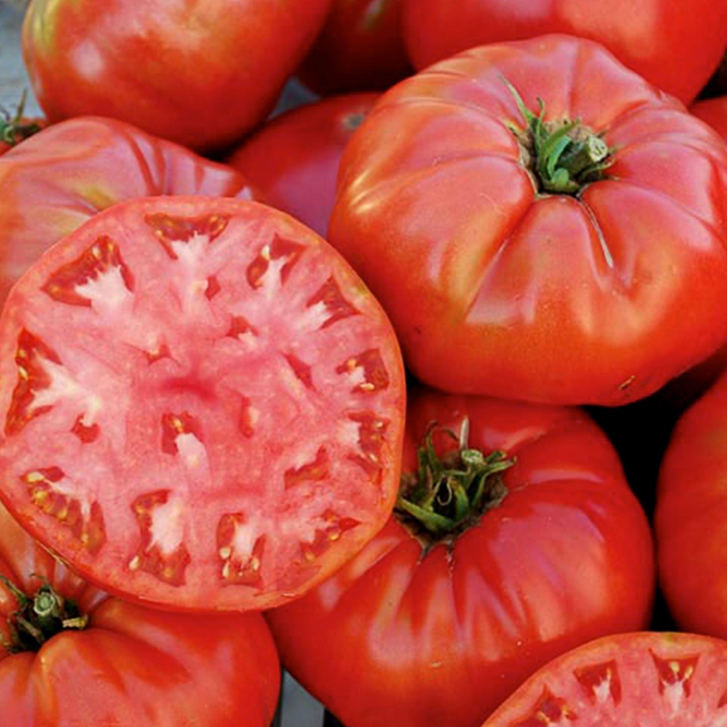 Mortgage Lifter Tomato Seeds