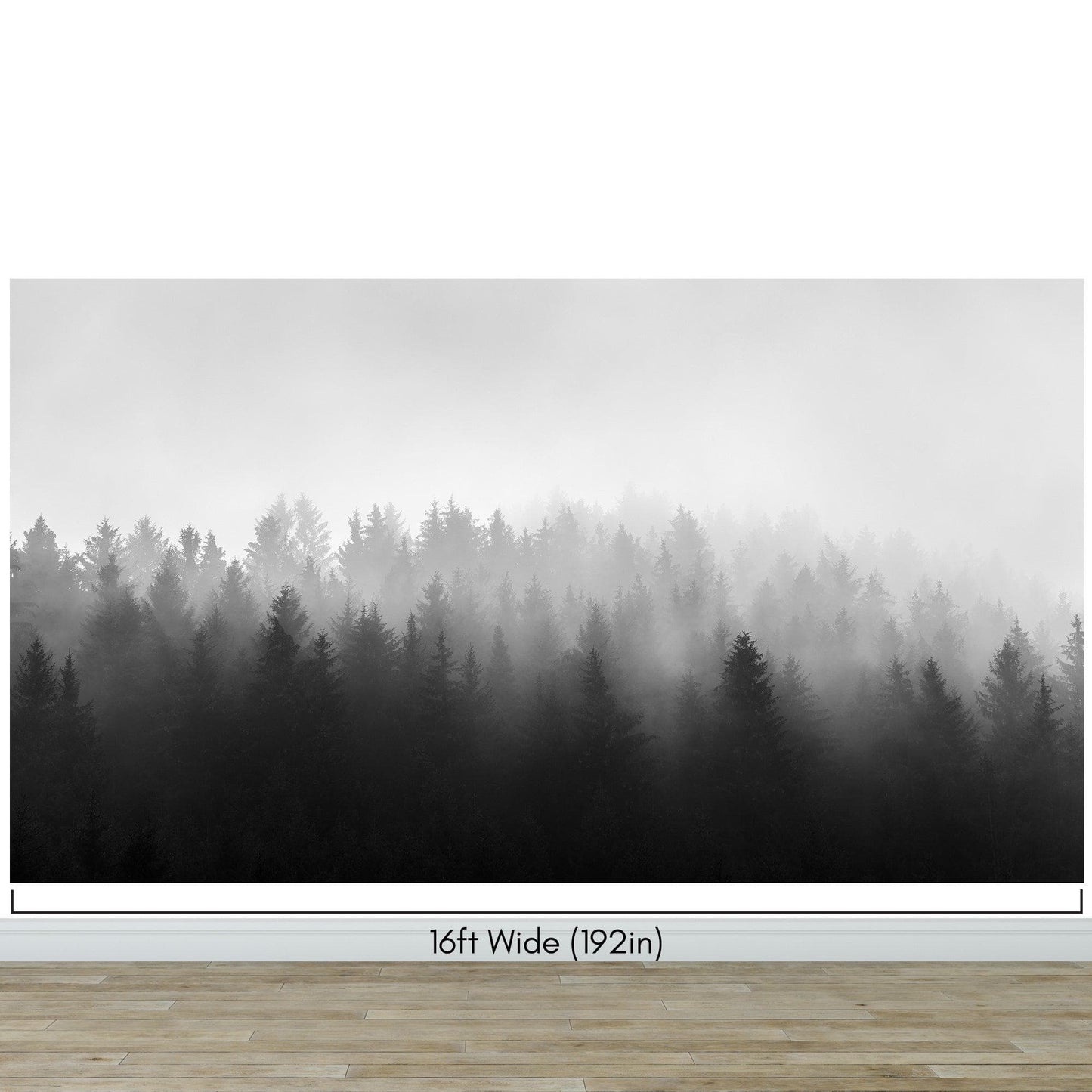 Black and White Misty Pine Forest Wallpaper. #6673