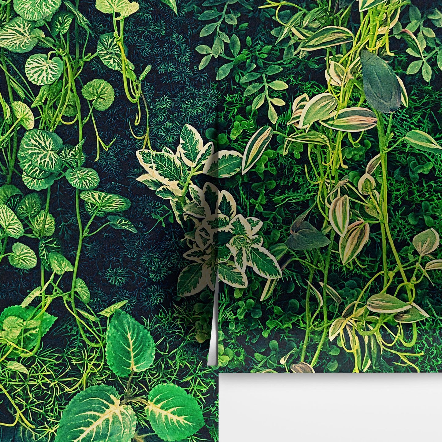 Greenery Jungle Bush Wallpaper Mural. Tropical Leaves / Fern Wallpaper. #6765