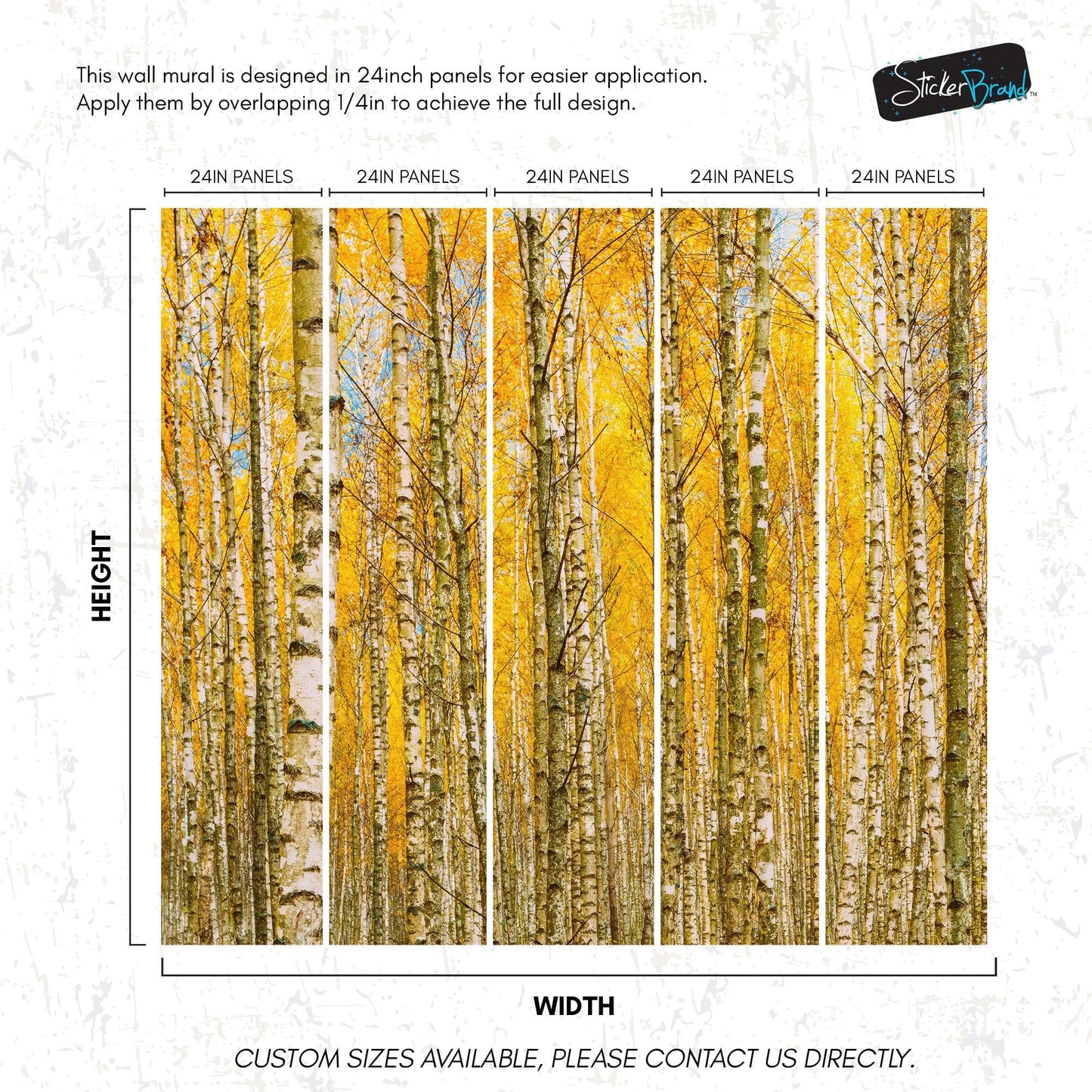 Autumn Scenic Birch Tree Forest Wall Mural | Peel and Stick Wallpaper. #6202