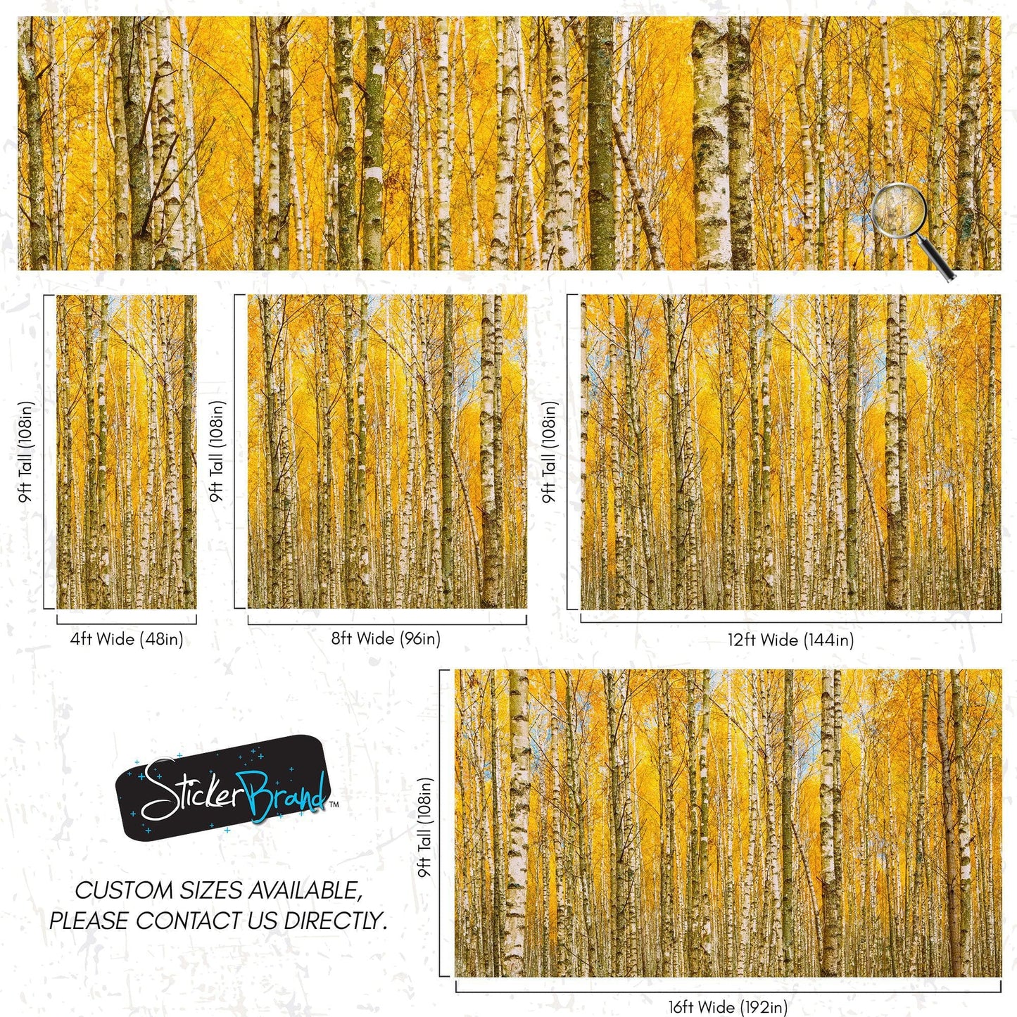 Autumn Scenic Birch Tree Forest Wall Mural | Peel and Stick Wallpaper. #6202