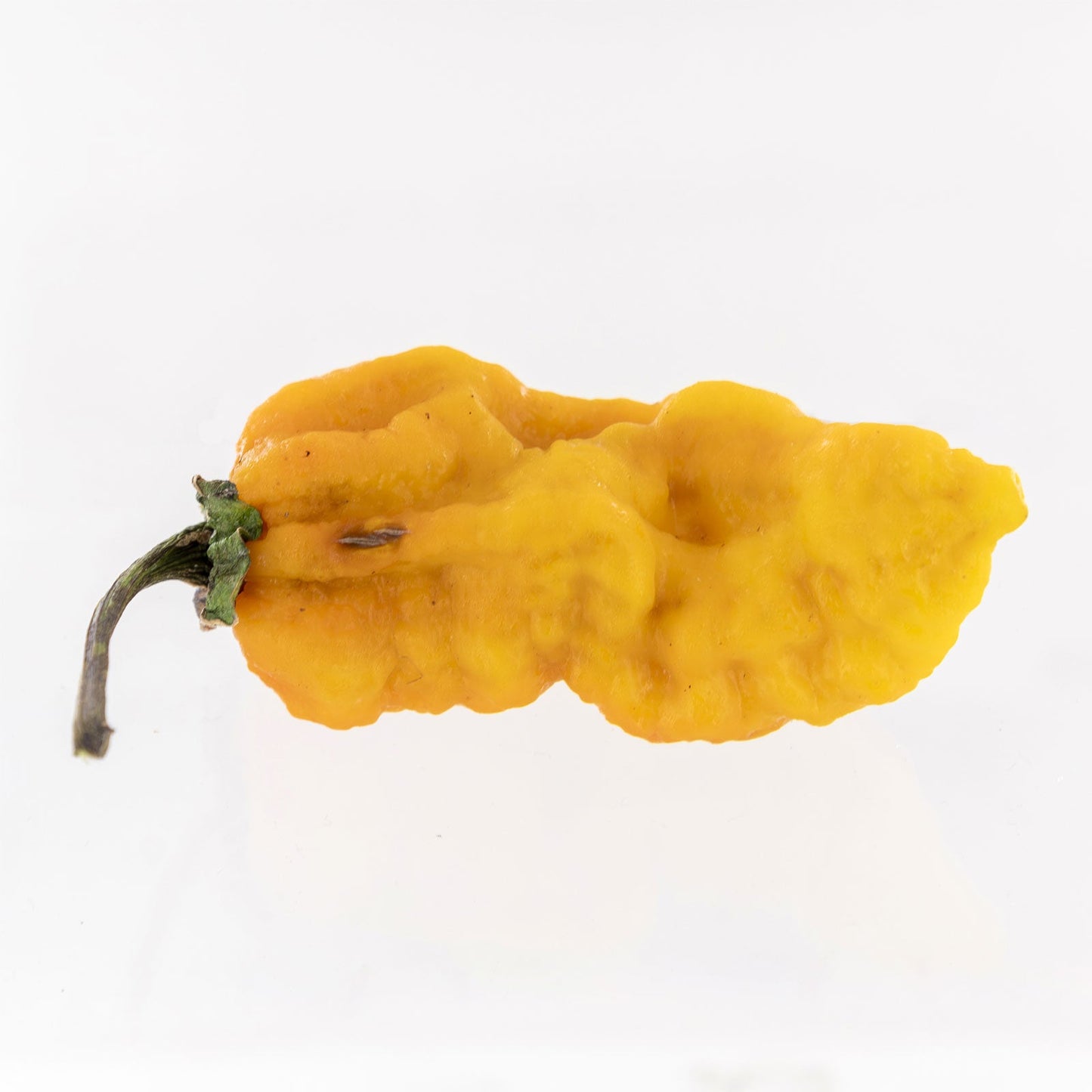 Naga Bubblegum 7 Pot Yellow Pepper Seeds