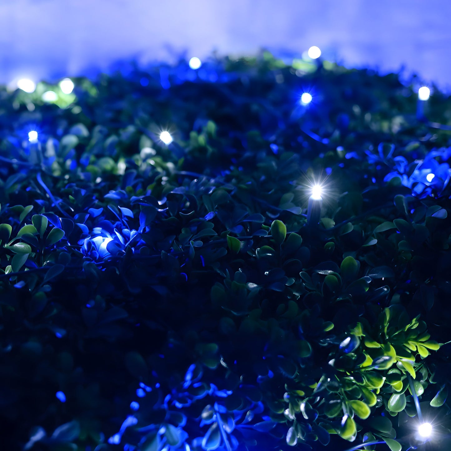 4' x 6' Blue and Cool White 5mm LED Christmas Net Lights