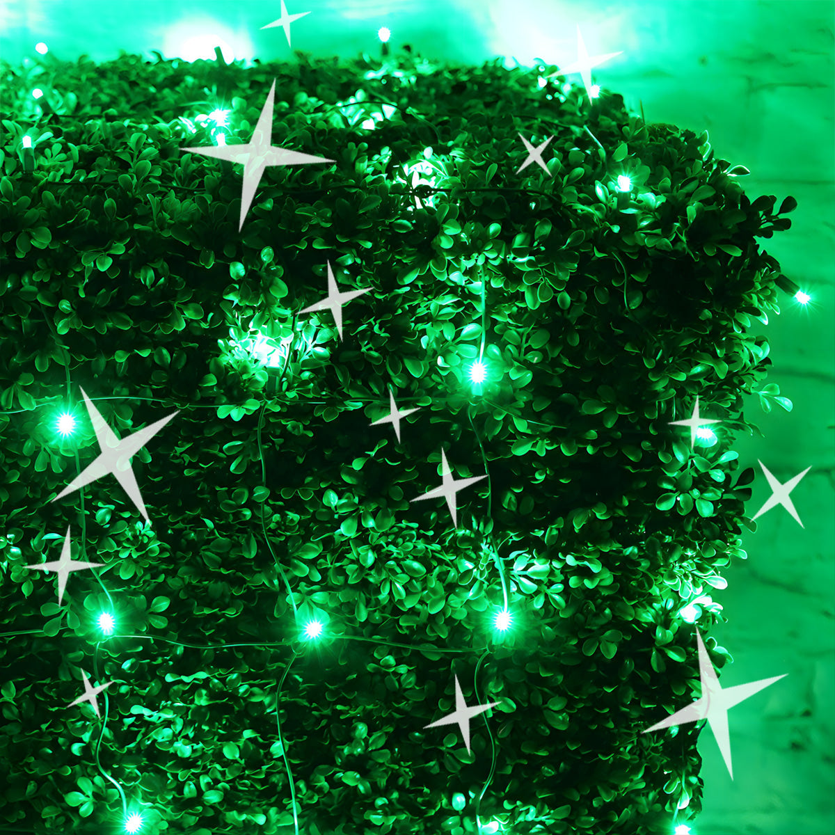 4' x 6' Green 5mm LED Smooth Fade DreamSpark Net Lights