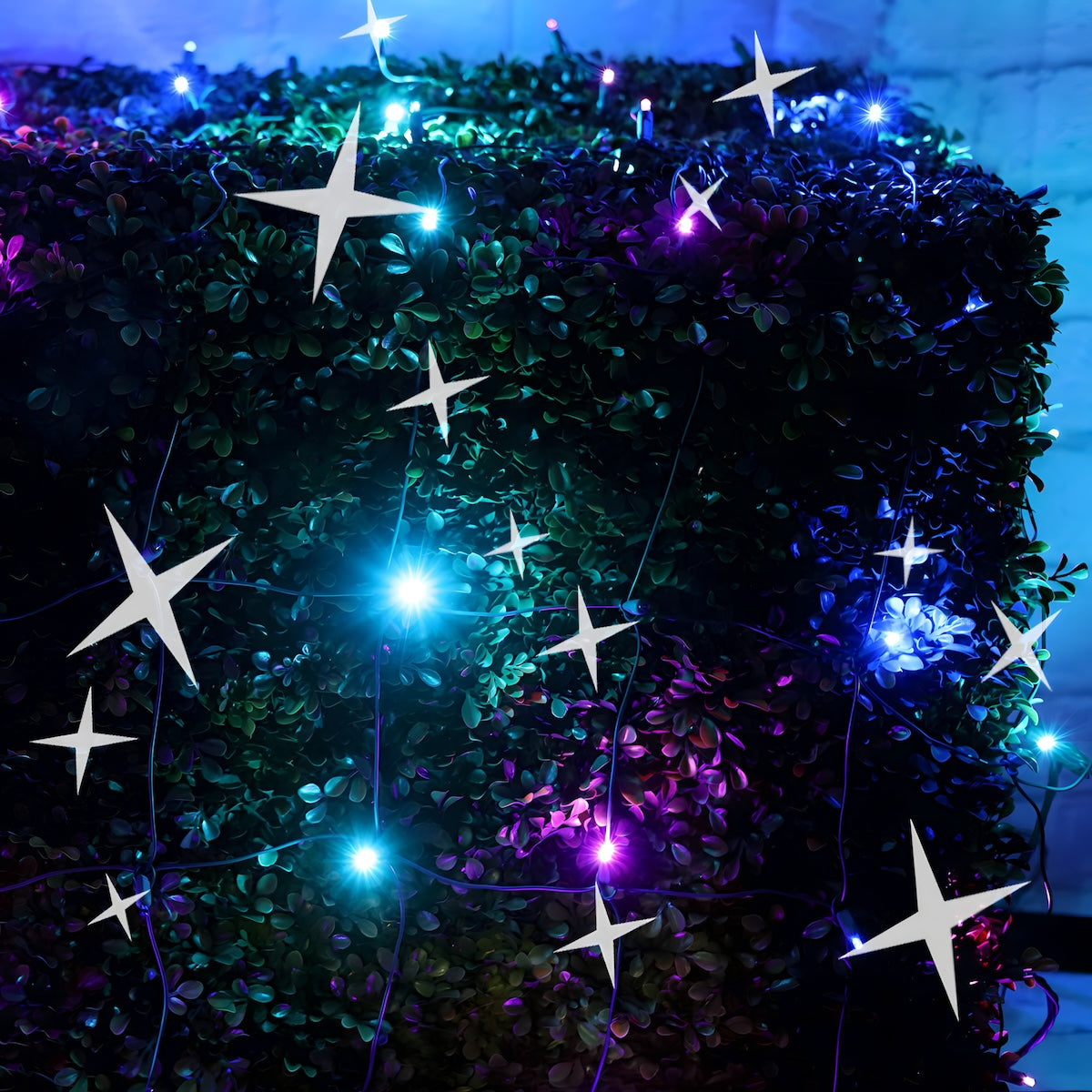 4' x 6' Stardust 5mm LED Smooth Fade DreamSpark Net Lights