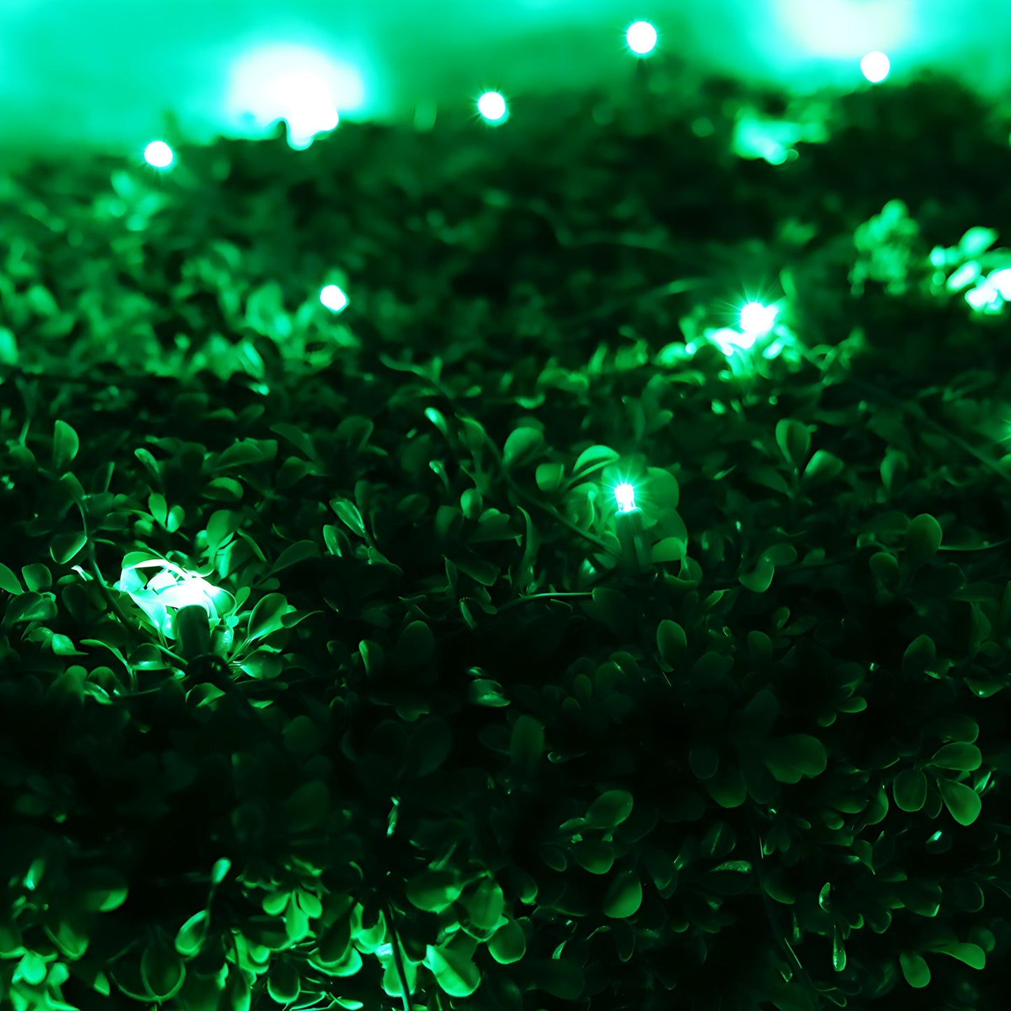 4' x 6' Green 5mm LED Christmas Net Lights