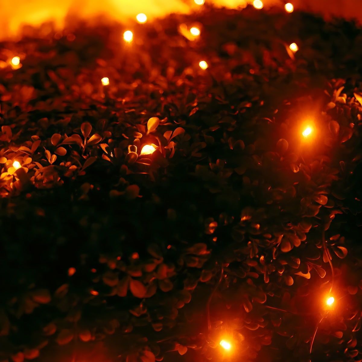 4' x 6' Orange 5mm LED Smooth Fade DreamSpark Net Lights