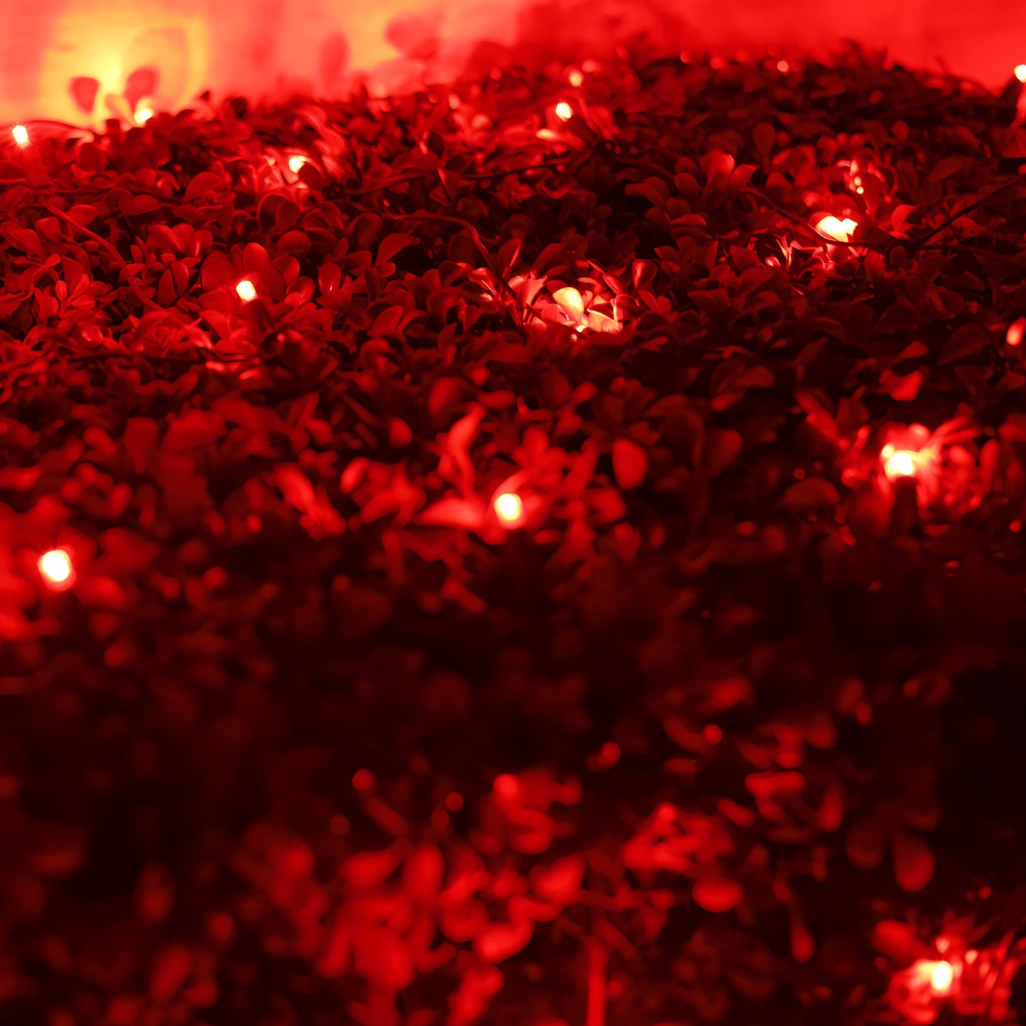 4' x 6' Red 5mm LED Smooth Fade DreamSpark Net Lights