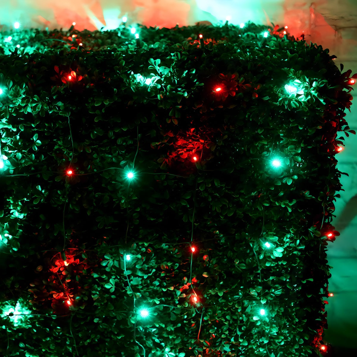 4' x 6' Red and Green 5mm LED Christmas Net Lights