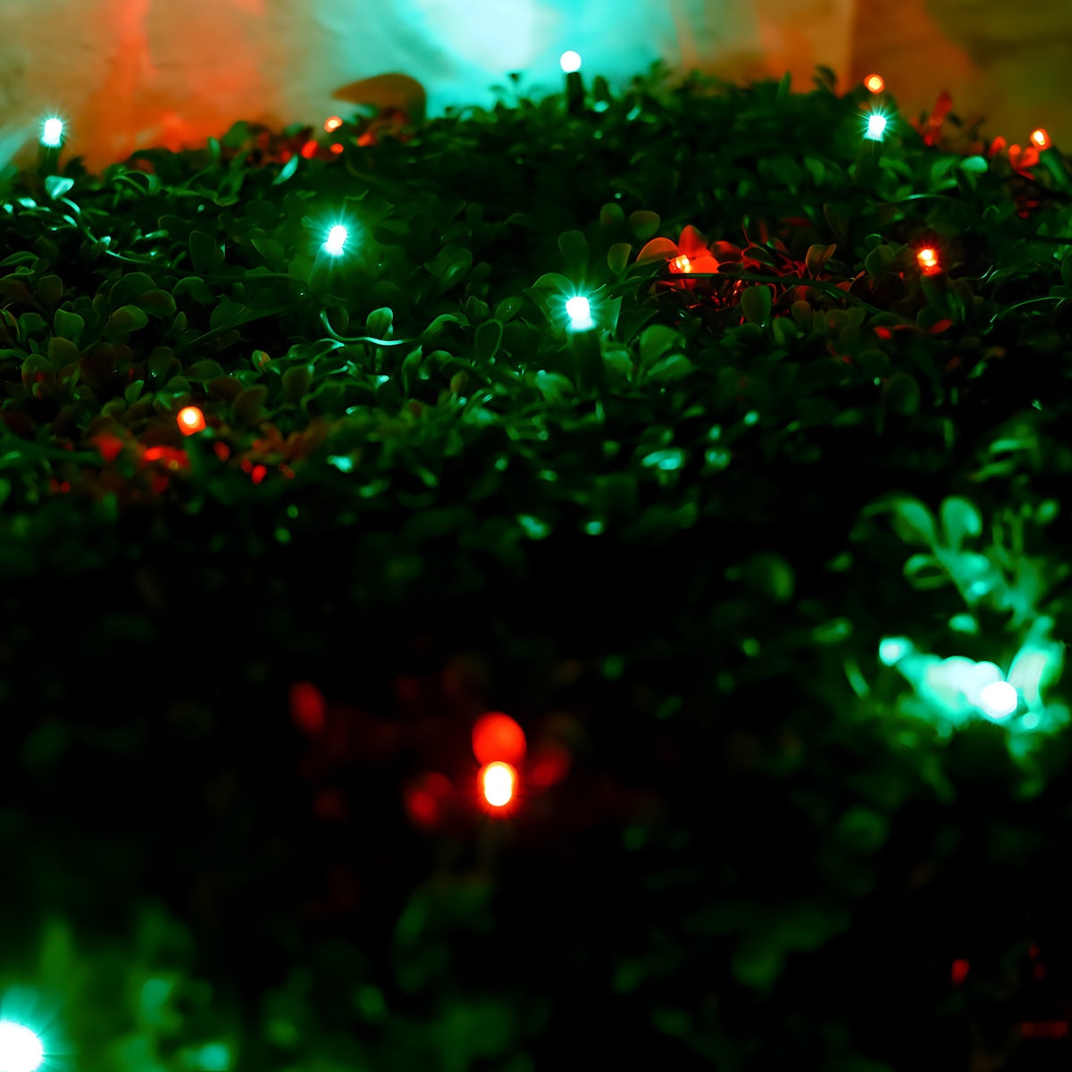 4' x 6' Red and Green 5mm LED Christmas Net Lights