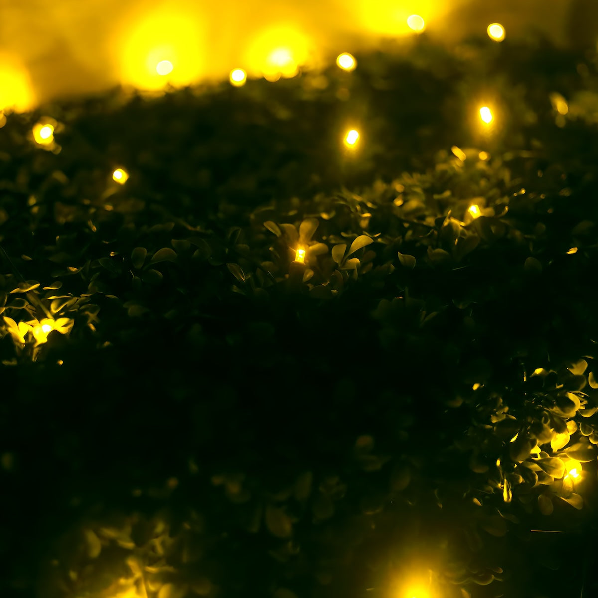 4' x 6' Yellow 5mm LED Christmas Net Lights