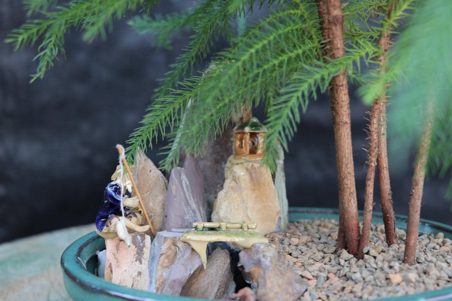 Norfolk Island Pine Bonsai Tree Landscape Scene