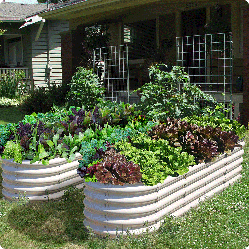 17" Tall, 12-in-1  Raised Garden Bed in Ivory