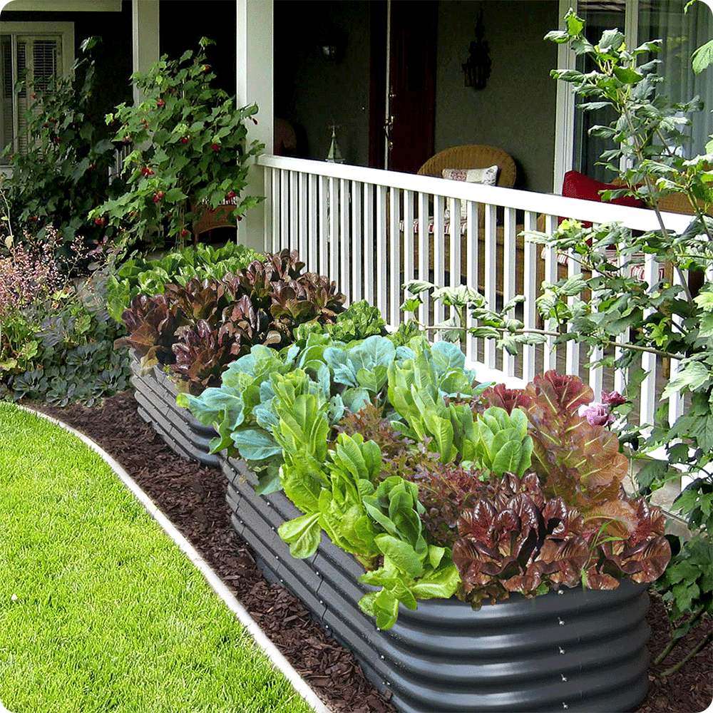 Olle Galvanized Raised Garden Bed