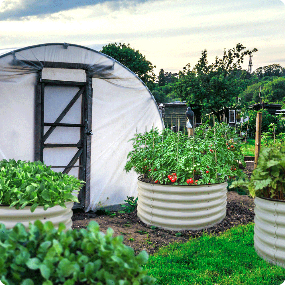 17" Tall x 42" Round Raised Garden Bed, in Ivory