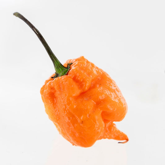 Orange Carolina Reaper Pepper Seeds